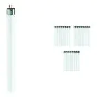 Mehrfachpackung 25x Philips T5 Short 13W - 640 Kaltweiß | 52cm